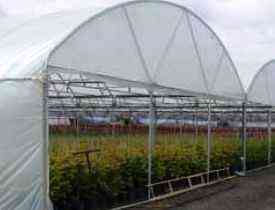 CERTIFICATE IN HORTICULTURE NURSERY MANAGEMENT