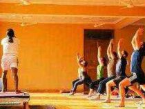 Certificate Course in Yoga