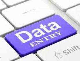 Data Entry Operator(DEO)