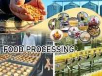 Online Course Diploma in Agri Food Processing
