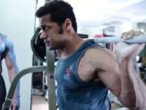DIPLOMA IN BODY BUILDING Online Course, Certificate in Strength Training and Bodybuilding