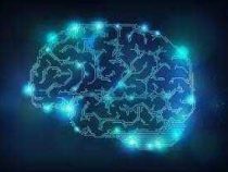 Online Course Certificate in Data Analysis Deep Learning