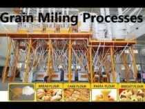 Online course Certificate in Grain Milling & Processing