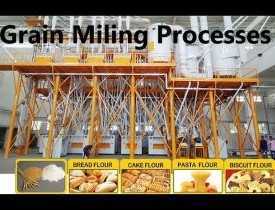 Online course Certificate in Grain Milling & Processing