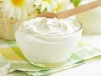 Certificate in Milk Fermentation Technology – CURD