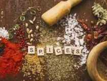 Online Certificate in Spice Grinding Business Course