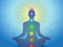 ONLINE COURSE DIPLOMA IN PRANIC HEALING AND YOGA