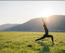 ONLINE COURSE DIPLOMA IN YOGA & NATURE CARE