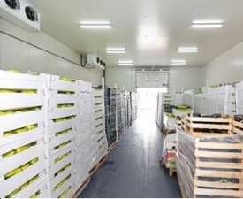 Online course Diploma in Cold Storage Manager