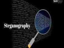 Online Course Diploma in Computer & Stenography