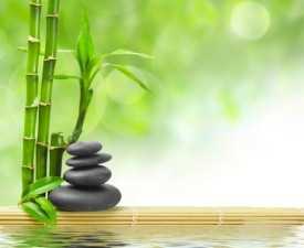 Online Course Diploma in Feng-Shui