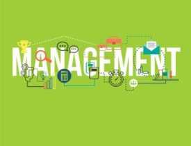 Diploma in Management Online Coursev