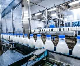 Online Course Diploma in Milk Product Manufacturing