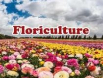 Floriculture Course, online course Professional Certificate in Floriculture