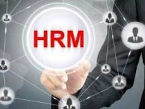 Online Course Certificate in Human Resource Executive