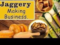 Online Jaggery Business Course