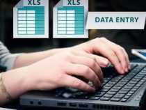 Online Course Certificate in MS Excel & Data Entry