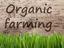 Online Organic Farming Business Course