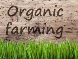 Online Organic Farming Business Course