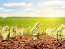 Online Course Professional Training in Agri-Business Operations