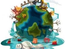 Professional Course in Environmental Hygiene Management