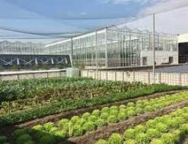 Online Rooftop Farming Business Course