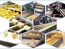 Online Course Snacks Processing Course